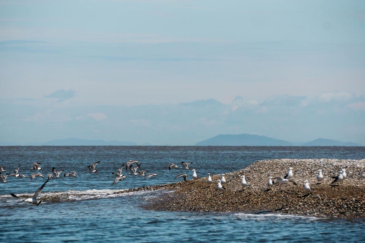 Заповедное Приморье: с юга на север