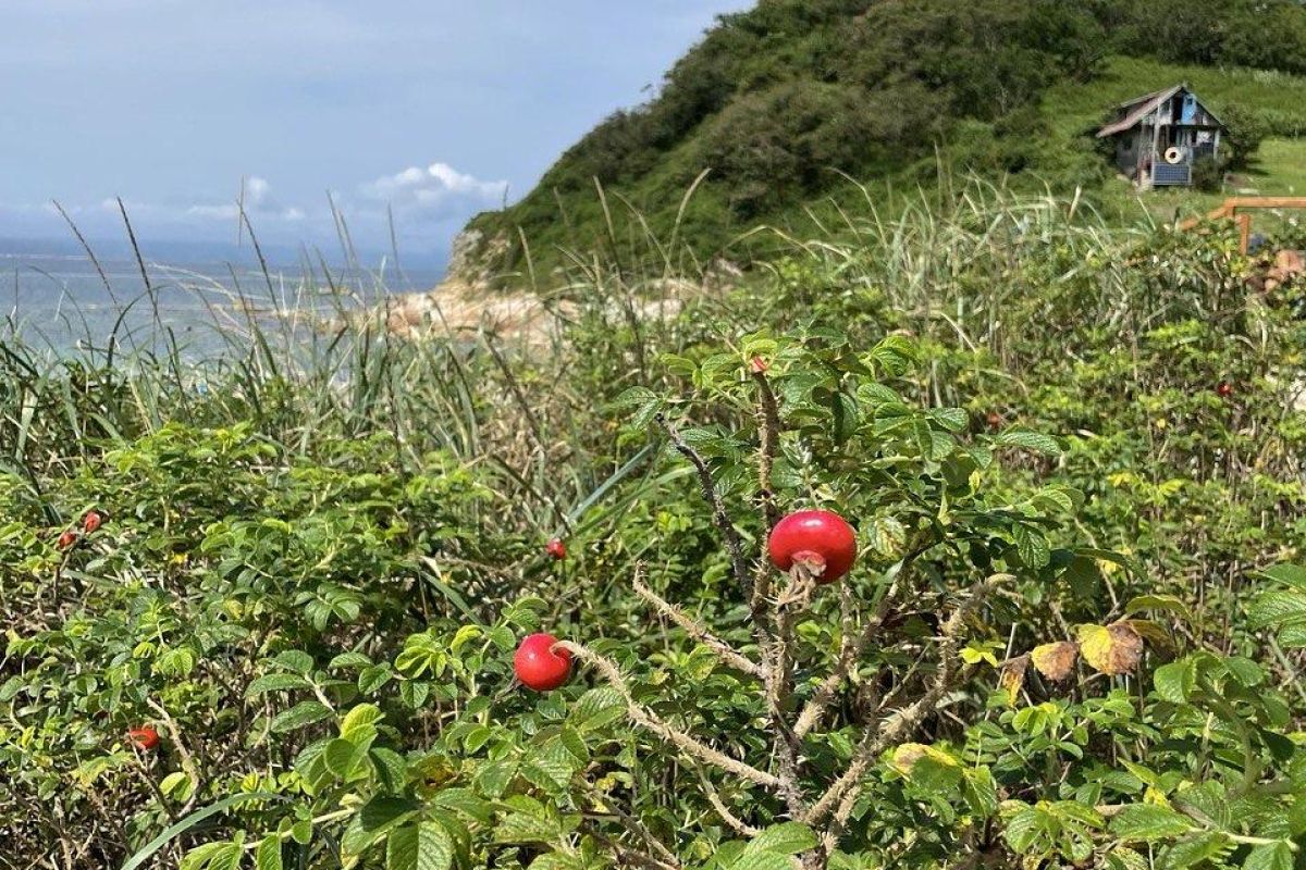 Симфония островов и горизонтов