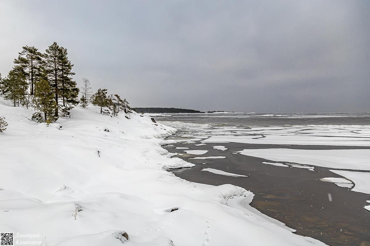 Времена года. Зимняя Карелия с фотографом
