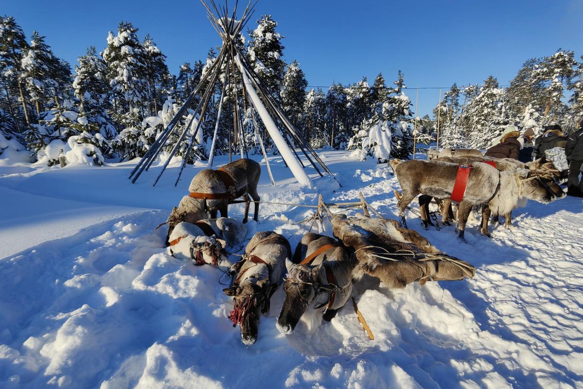 Арктическая амазонка (из Екатеринбурга)