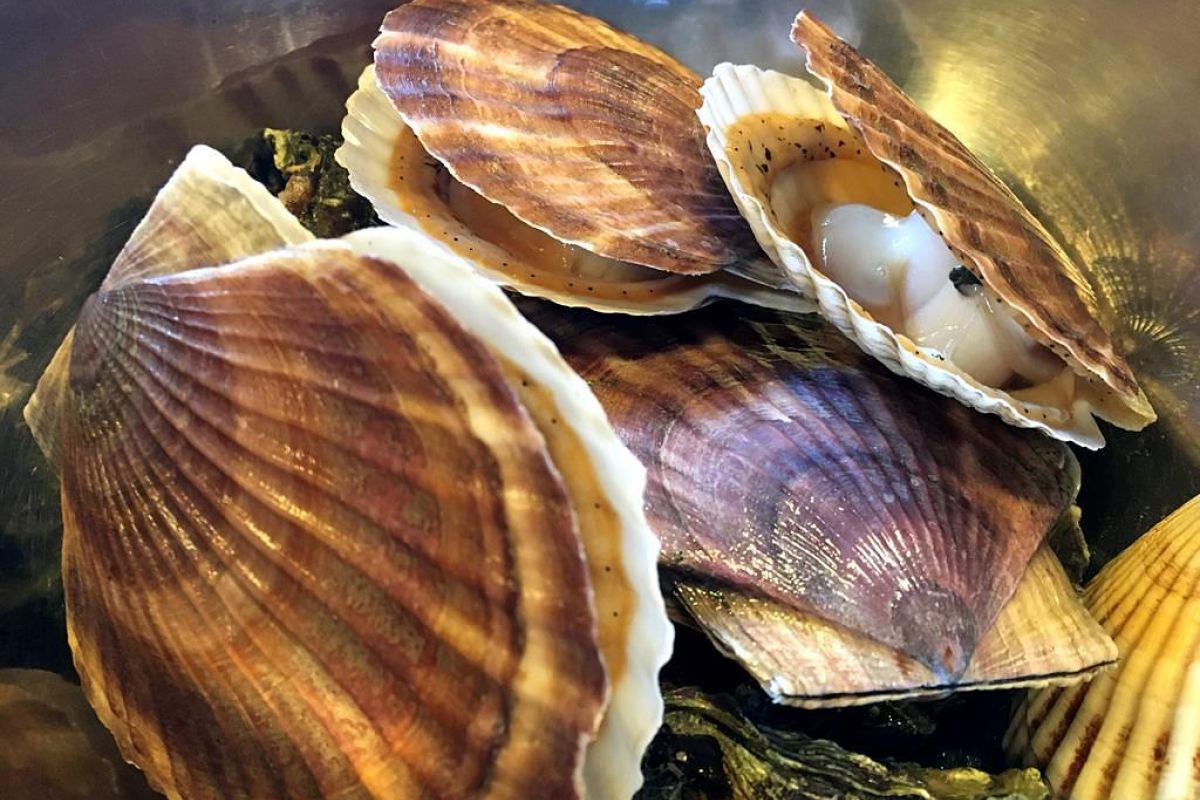 Вкусный Владивосток