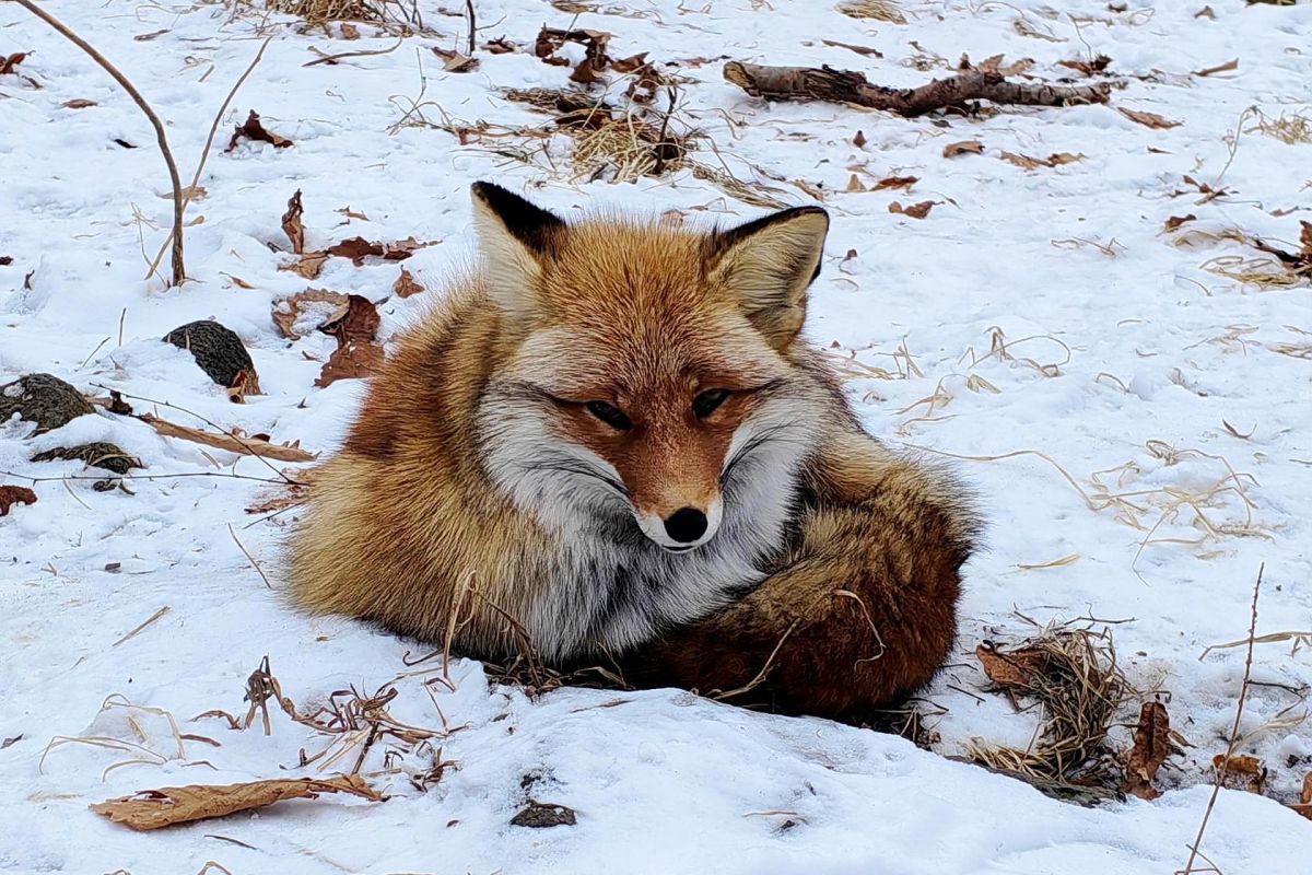 Владивосток – город у океана