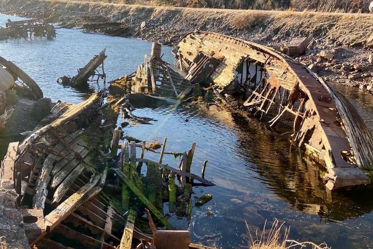 Красоты севера – летний Кольский