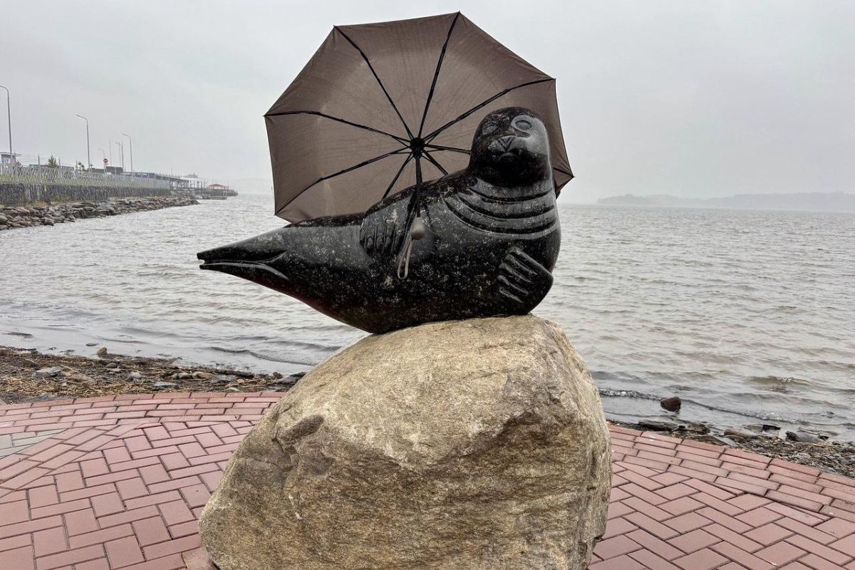 Обзорная экскурсия по г. Сортавала (Карелия)