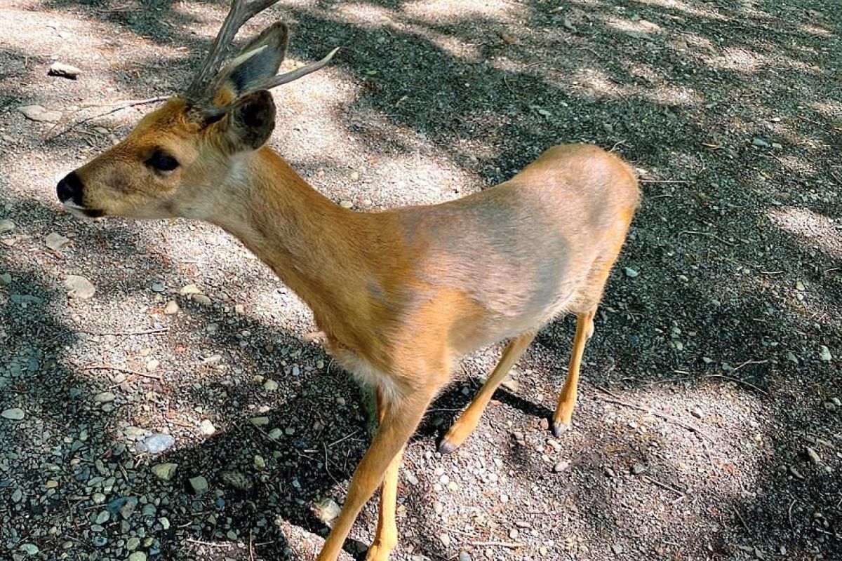 Тур «МорскаЯ» (Приморье)