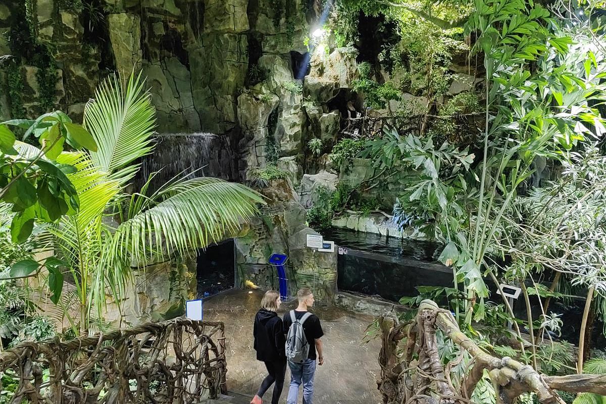 ДЖУМАНДЖИ Владивосток!