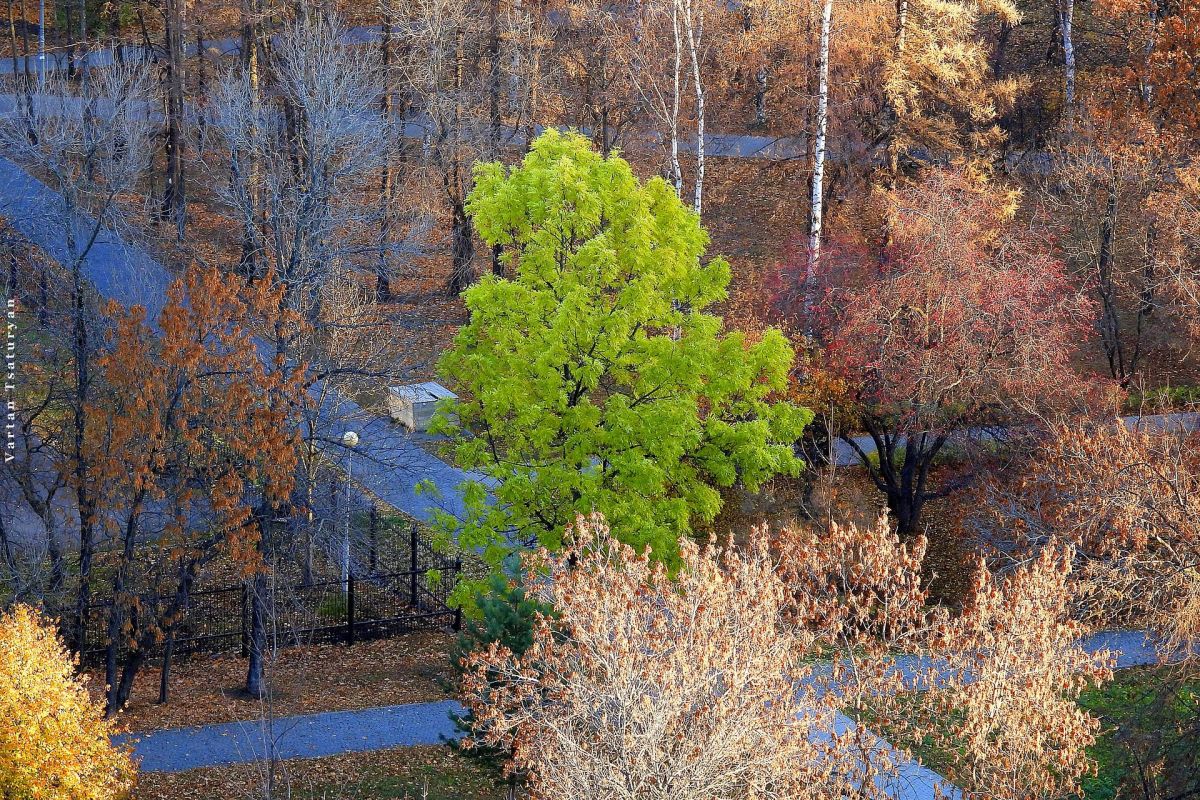 Карельские денёчки в Петрозаводске