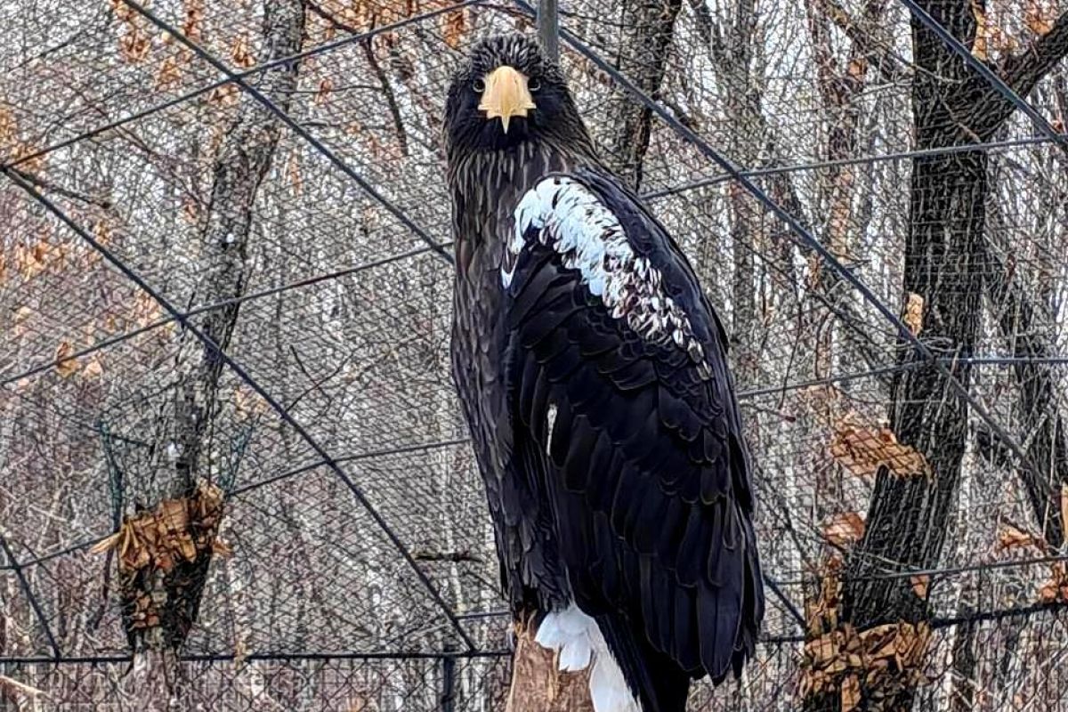 Владивосток – город у океана