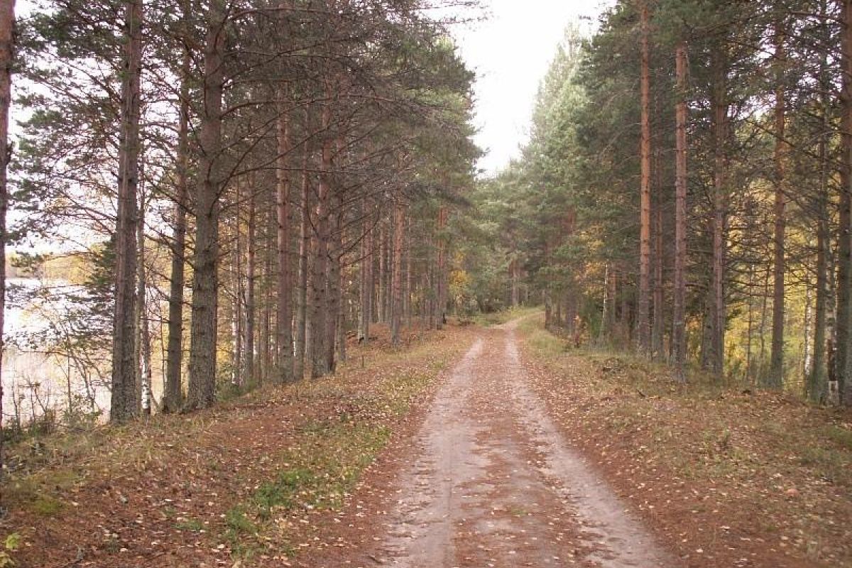 Добрый семейный поход. Лето 2025