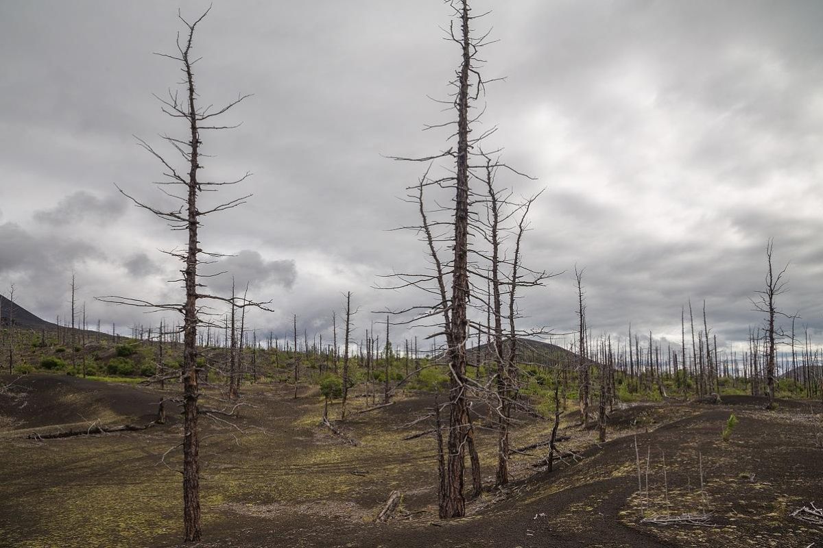 Толбачик. По следам извержения + Сплав
