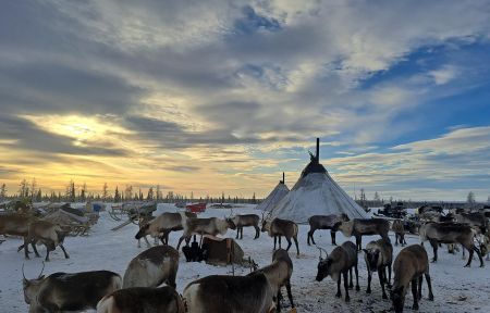 Две столицы Ямала