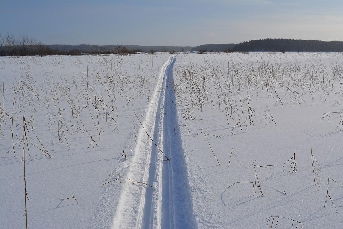 Лыжный тур по Карелии – Тало (Сойважпорог, 3 дня)