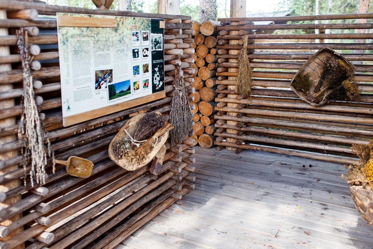 Путешествие в народное судостроение «ЛОДКА-ТУР»