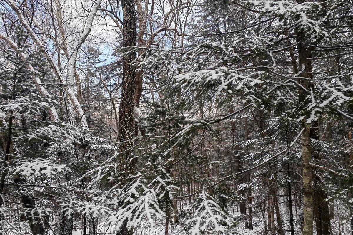 Водопад Горбатый