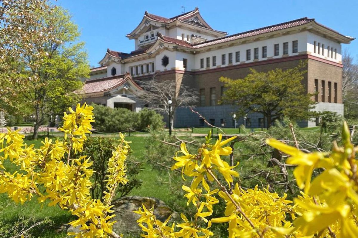 Сахалин и Кунашир