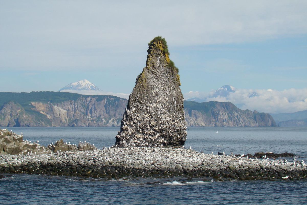 Морская прогулка в бухту Русская