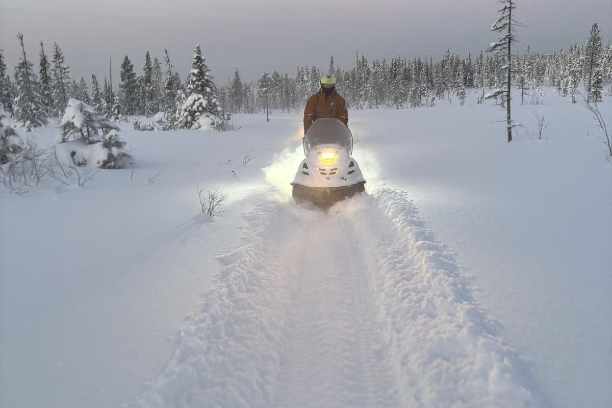 Сафари на квадроциклах (Лапландская деревня, 1 час)