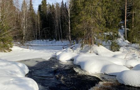 Новогодняя ночь в Карелии