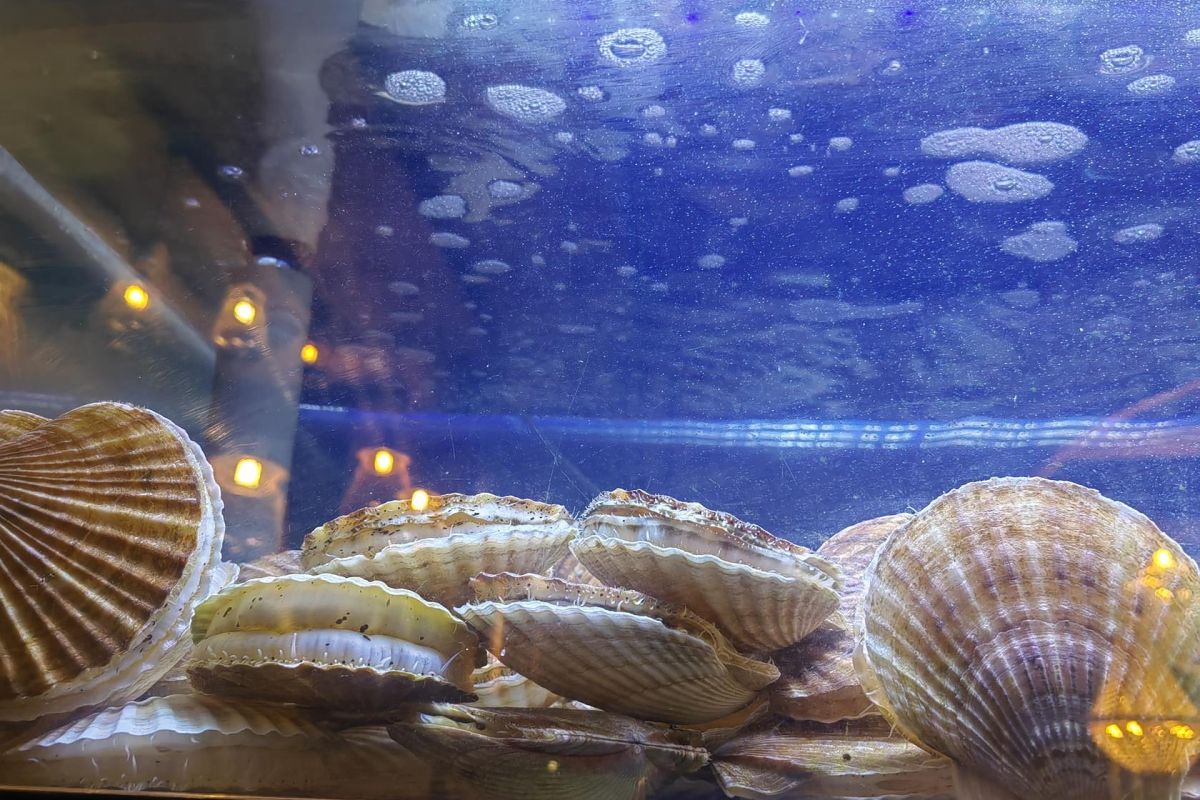 Знакомство с Владивостоком