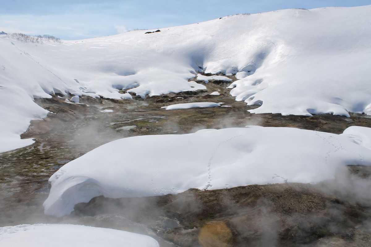 Дачные источники (Камчатка, экскурсия на вездеходе)