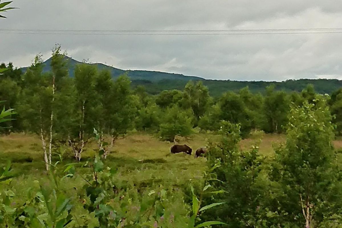 Открой для себя Камчатку