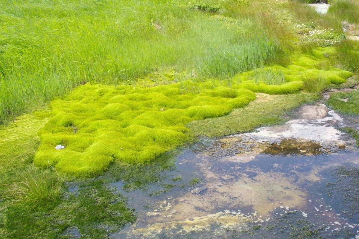 Джип-тур в «Малую Долину Гейзеров» и к водопаду Спокойный +Гастрономическая экскурсия