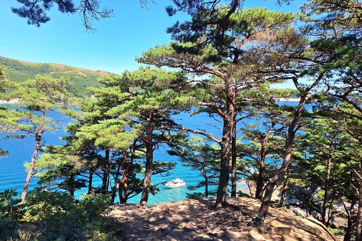 Полуостров Гамова: олени и заповедное море