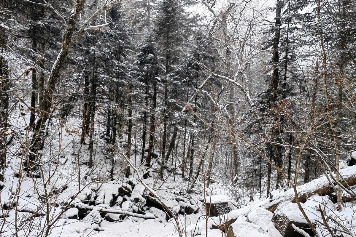 Водопад Горбатый
