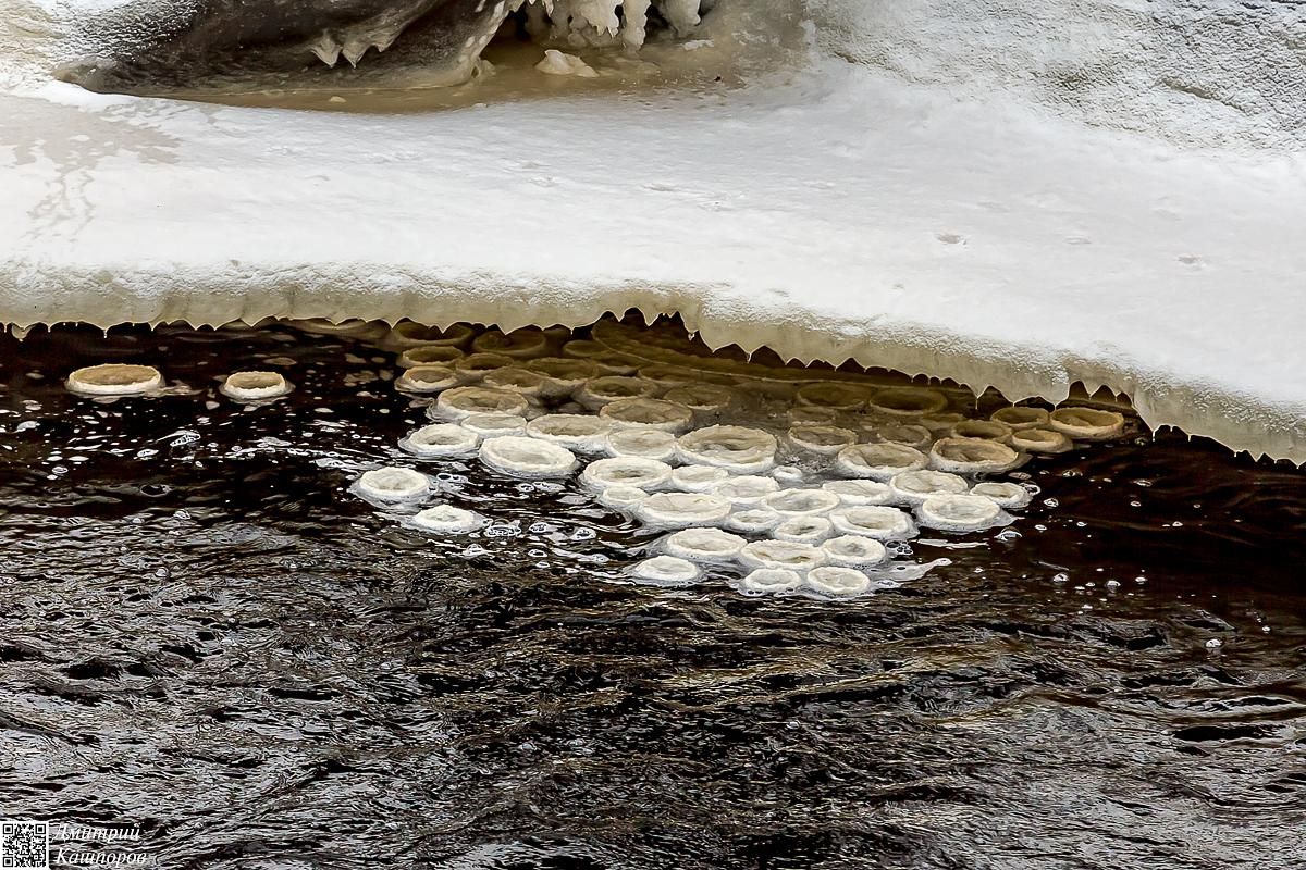 Времена года. Зимняя Карелия с фотографом