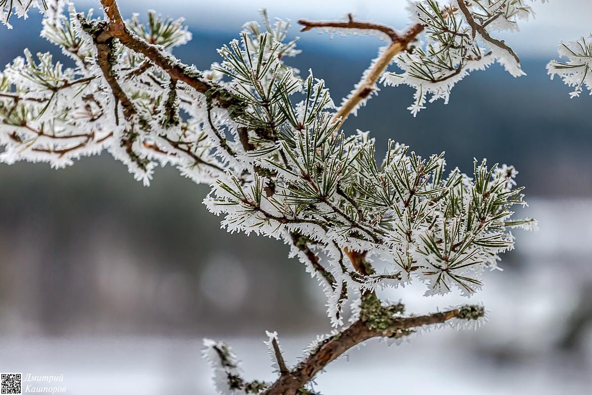 Времена года. Зимняя Карелия с фотографом