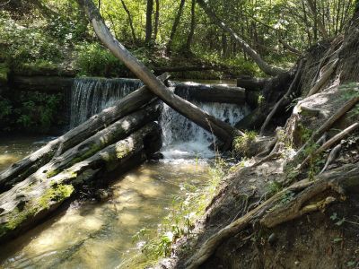 Поход выходного дня с. Новинка (Приамурье)