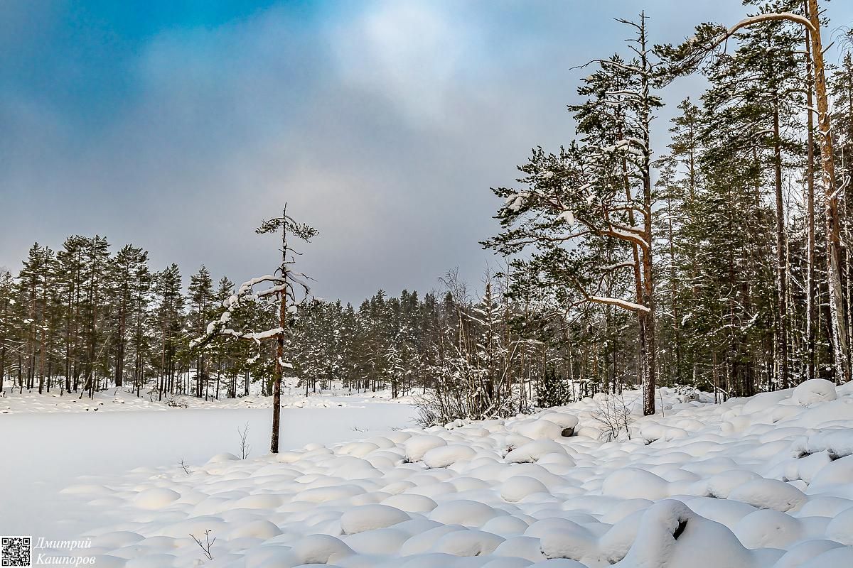 Времена года. Зимняя Карелия с фотографом