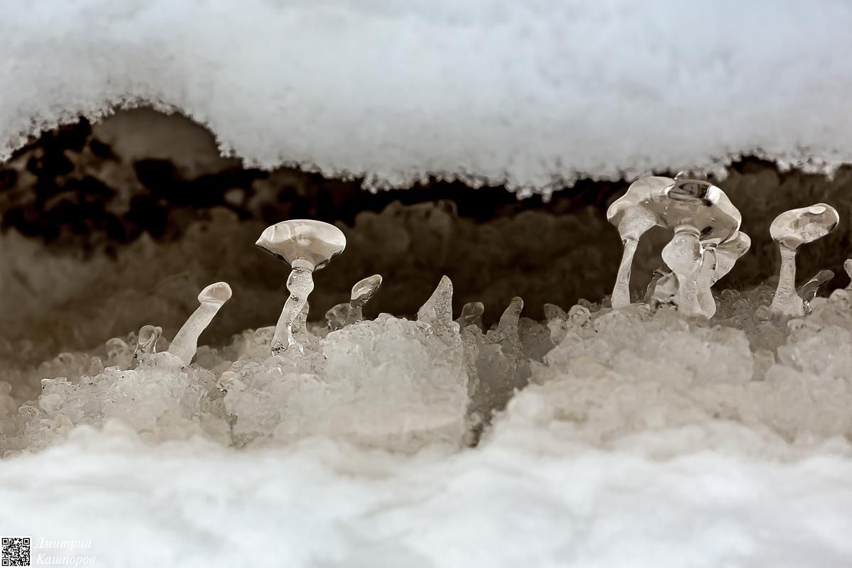 Времена года. Зимняя Карелия с фотографом