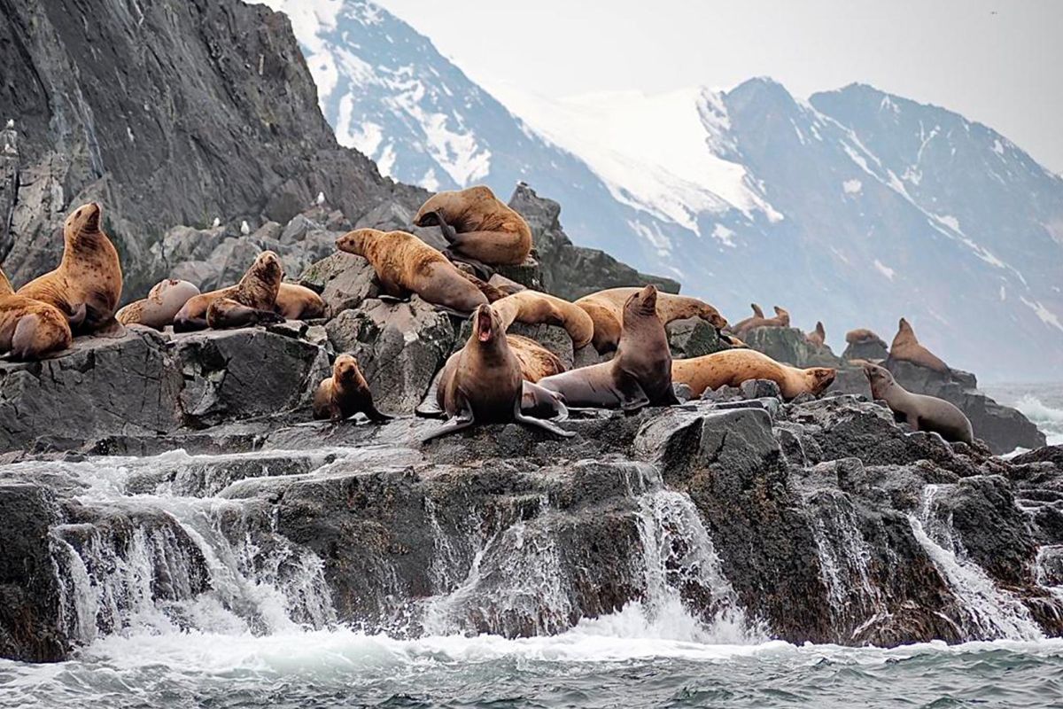 Sailing / Скитур в бухту Русская