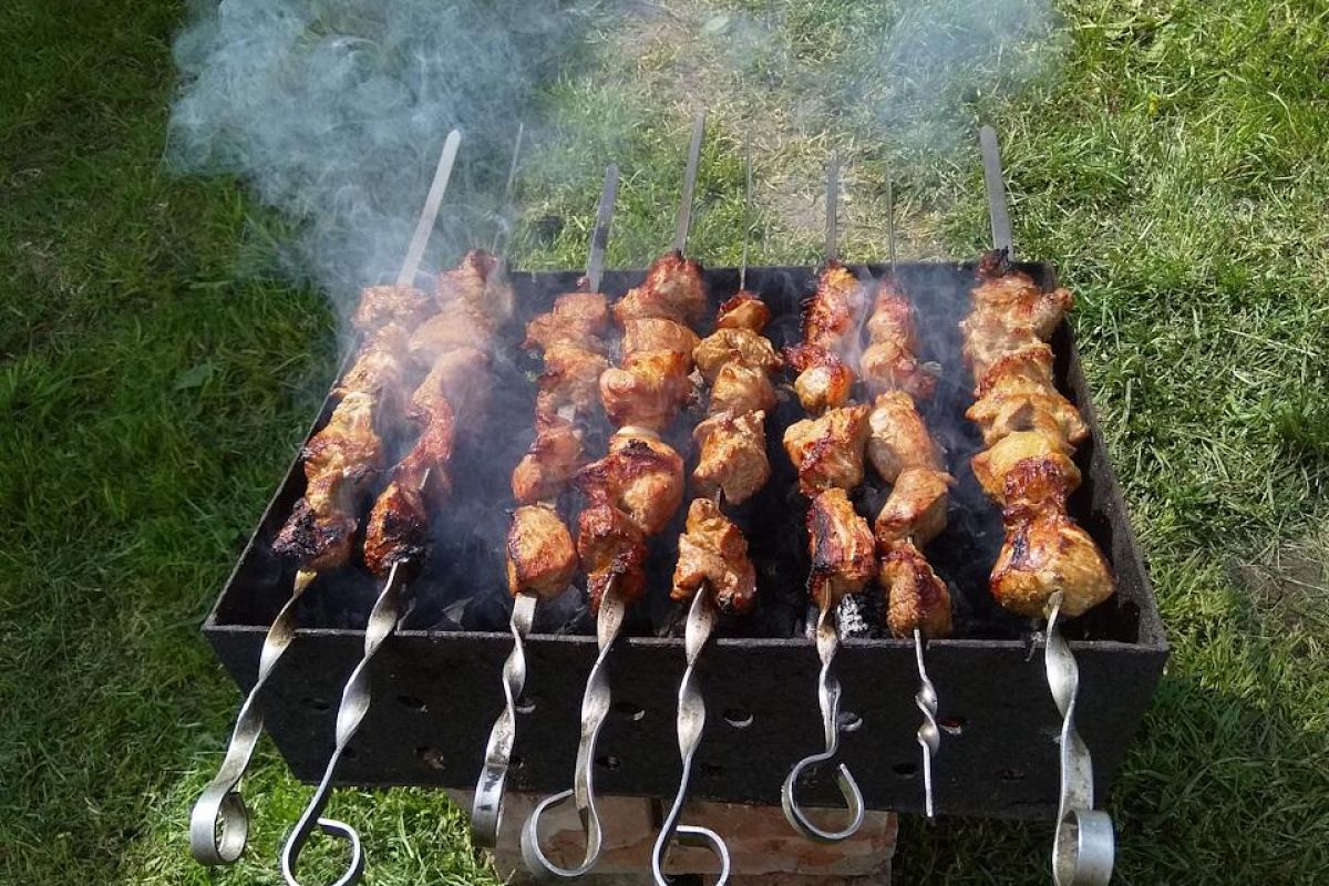 Весенний тур «Кенозерские пикники»