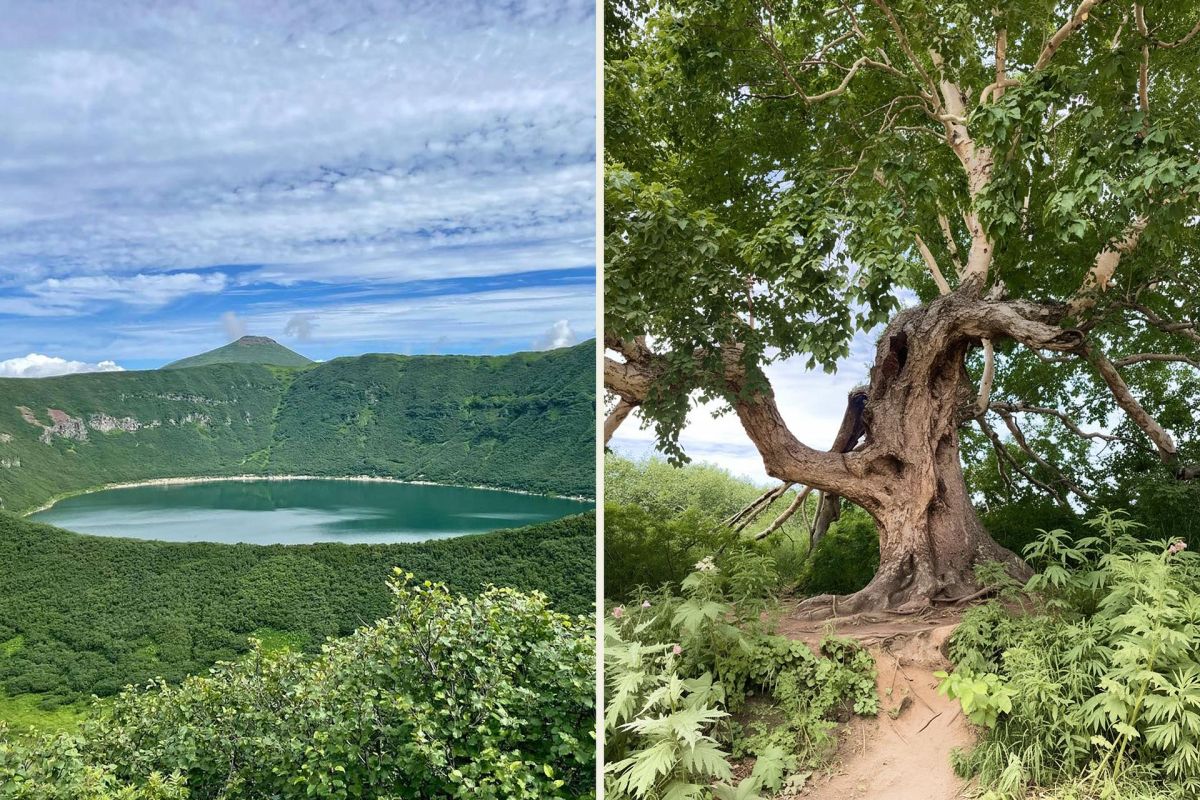 Джип-тур на озеро Толмачева и Апачинские / Начикинские источники