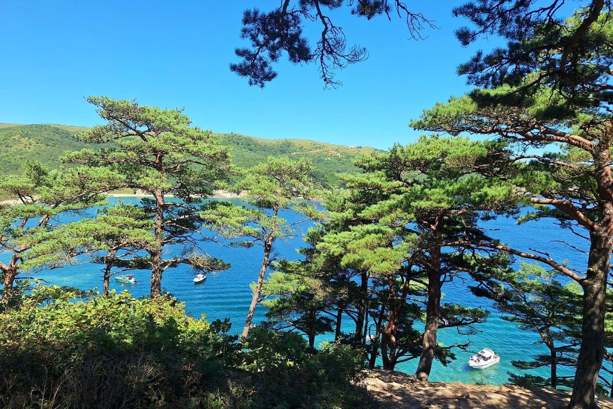 Владивосток и Японское море