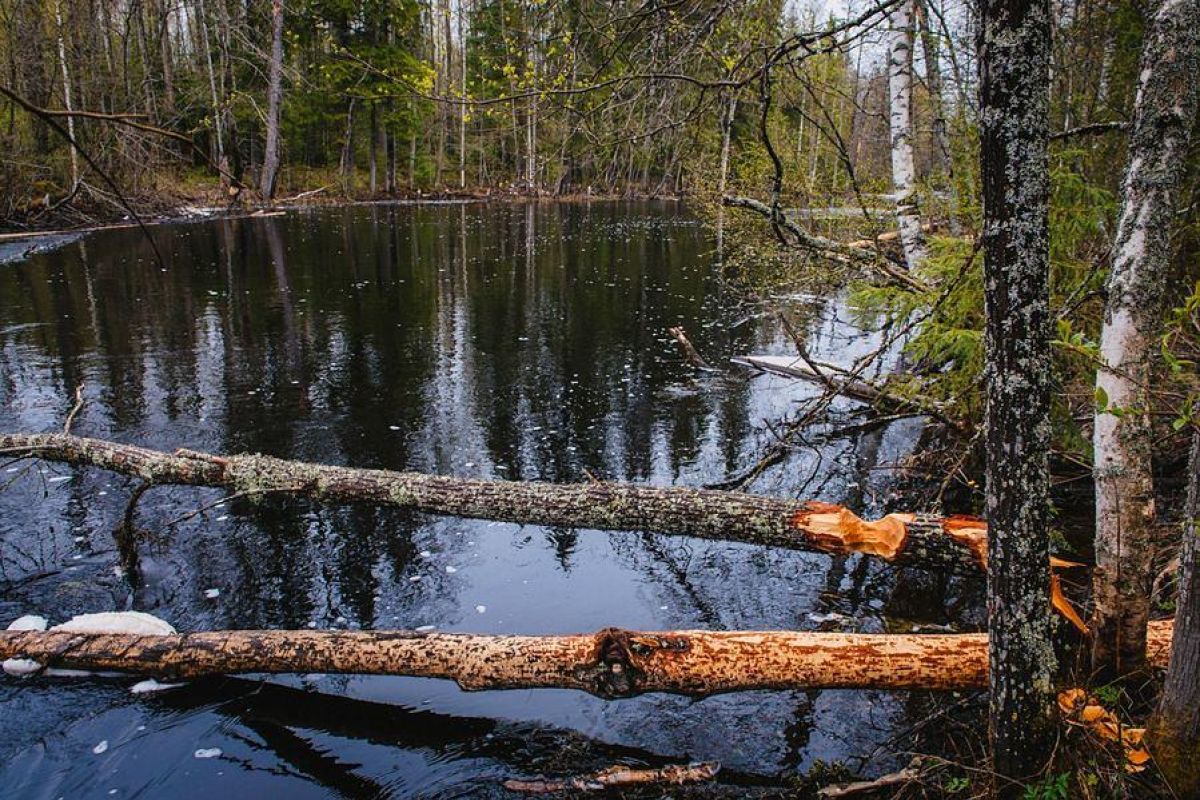 По озерам Карелии на квадроциклах