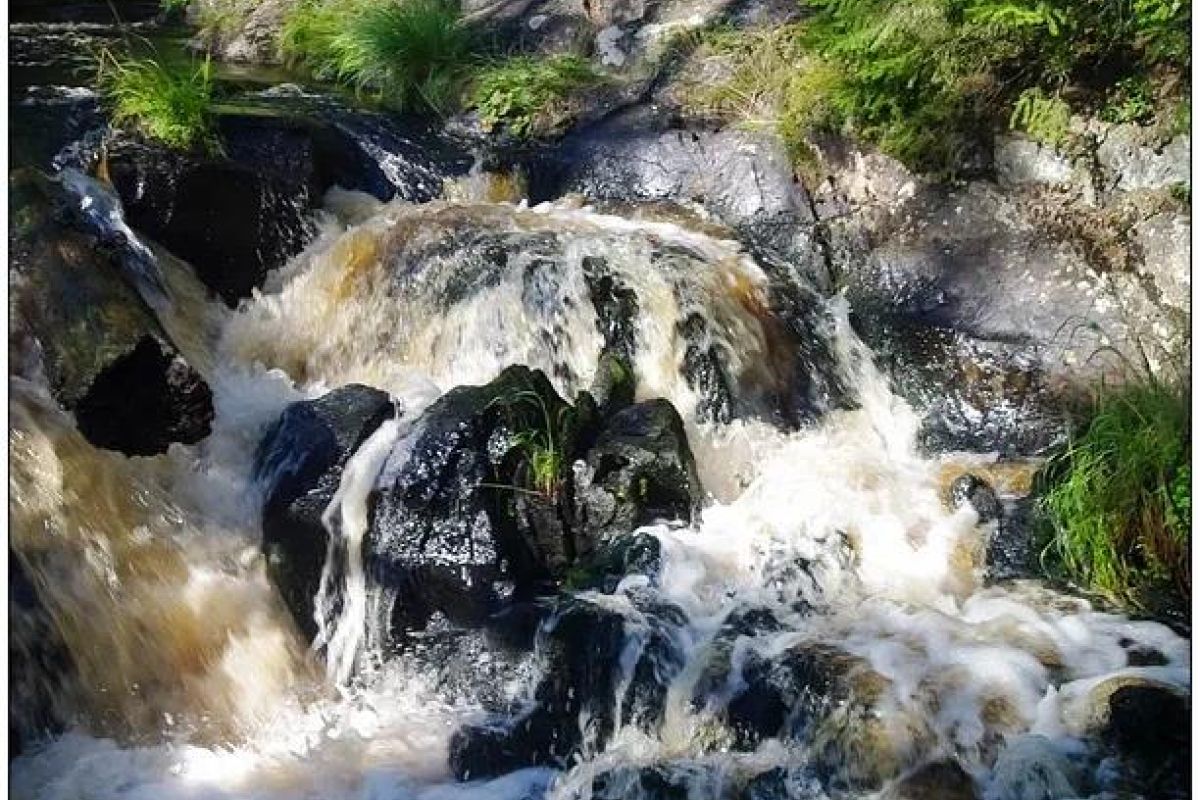 Карельские денёчки в Петрозаводске