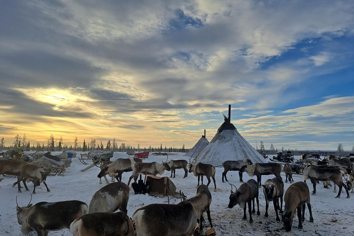 Две столицы Ямала