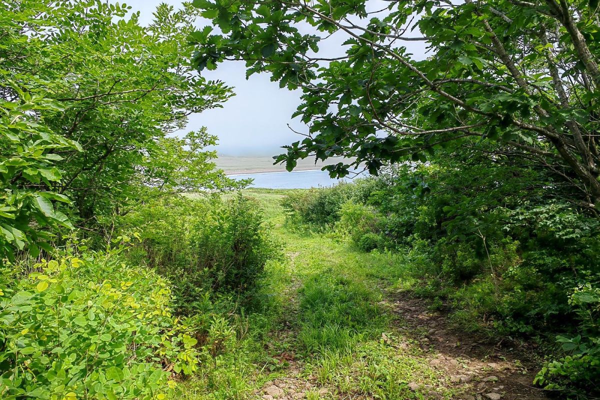 Открой Владивосток